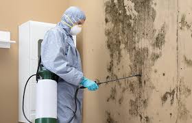 Mold Remediation for Vacation Homes in Rothsville, PA